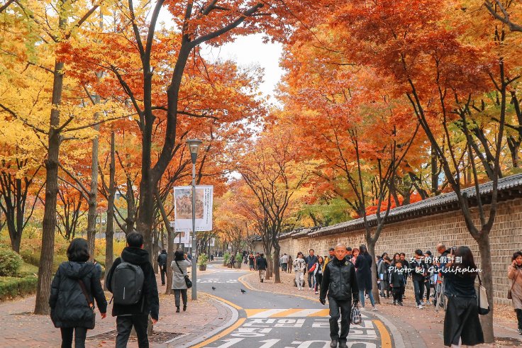 【韓國首爾景點】貞洞展望台전동전망대：市區內賞楓紅秘境，俯瞰整個德壽宮以及韓劇鬼怪拍攝場景 @女子的休假計劃