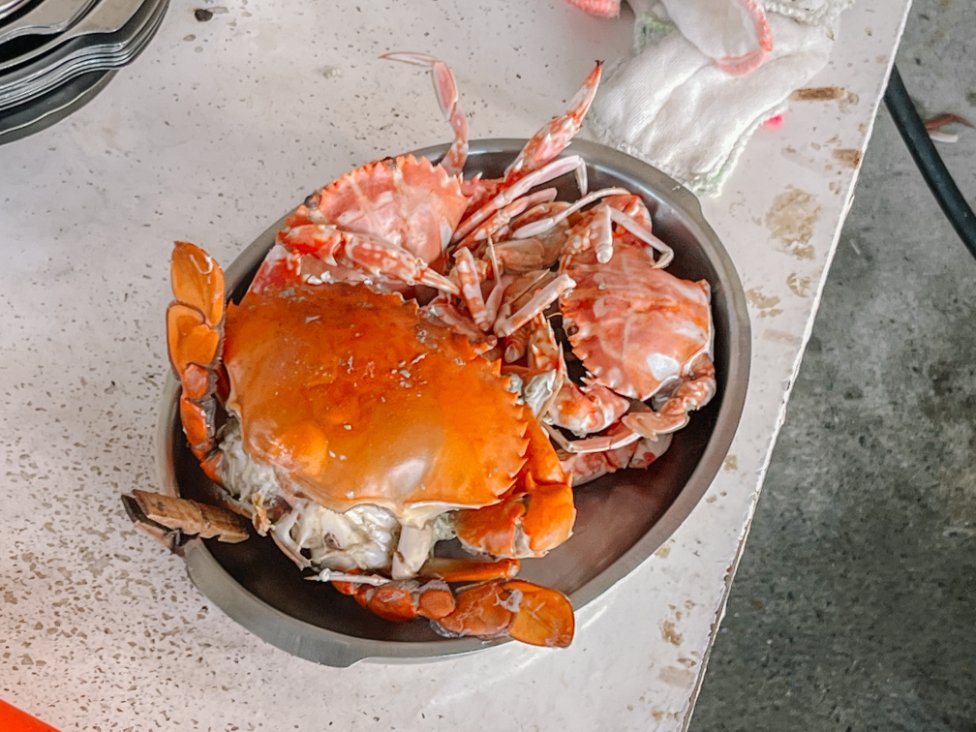 阿嬌萬里蟹｜在地超人氣海鮮熱炒排隊美食(菜單) @女子的休假計劃