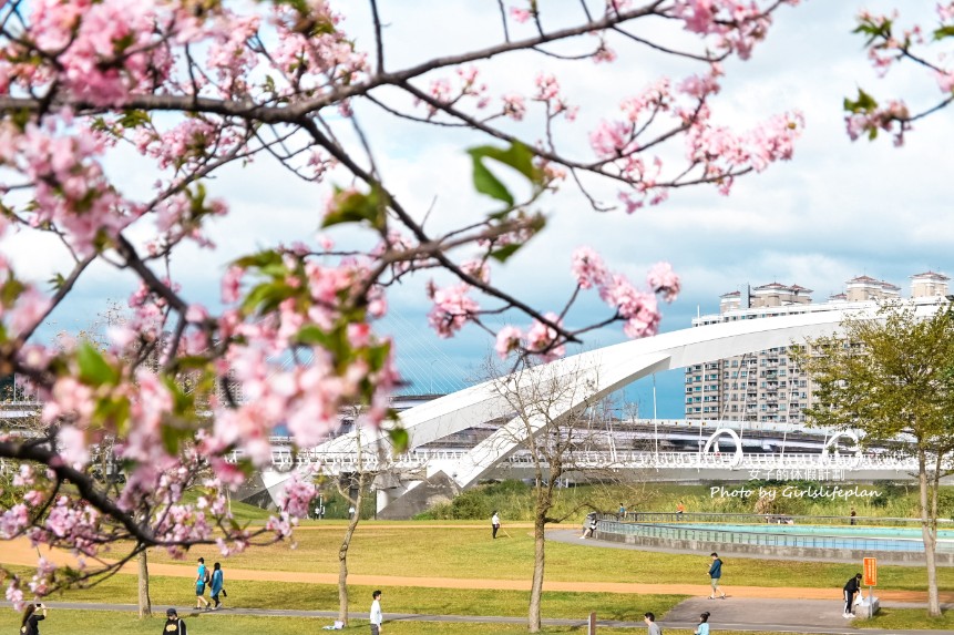 陽光運動公園櫻花｜安坑輕軌直達陽光運動公園，台北賞櫻景點推薦(交通) @女子的休假計劃