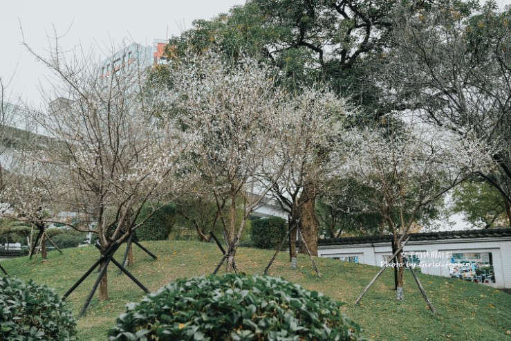 逸仙公園 | 2023年最新花況報導，台北日式景點/台北免費婚紗景點 @女子的休假計劃