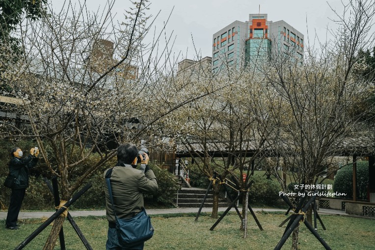 逸仙公園 | 2023年最新花況報導，台北日式景點/台北免費婚紗景點 @女子的休假計劃