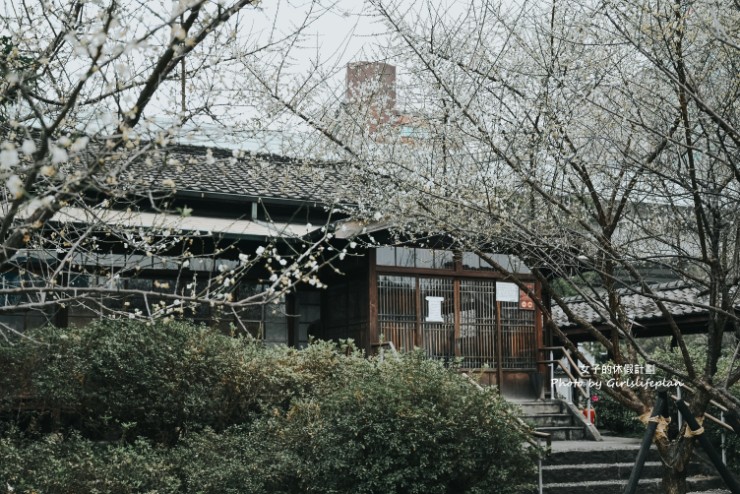 逸仙公園 | 2023年最新花況報導，台北日式景點/台北免費婚紗景點 @女子的休假計劃