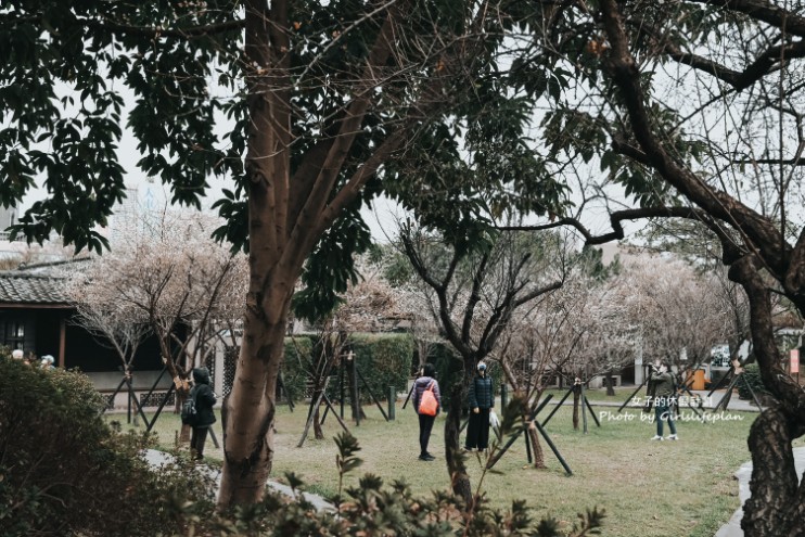 逸仙公園 | 2023年最新花況報導，台北日式景點/台北免費婚紗景點 @女子的休假計劃