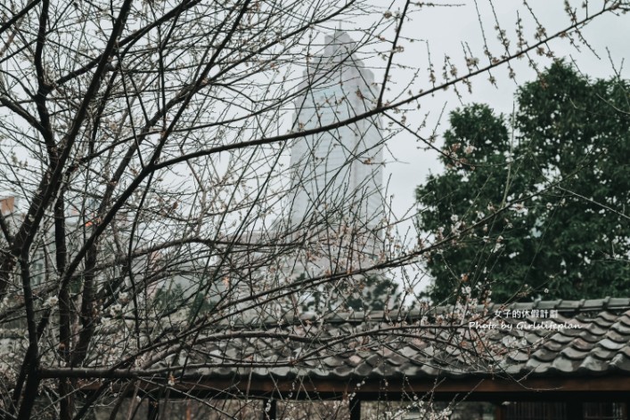 逸仙公園 | 2023年最新花況報導，台北日式景點/台北免費婚紗景點 @女子的休假計劃