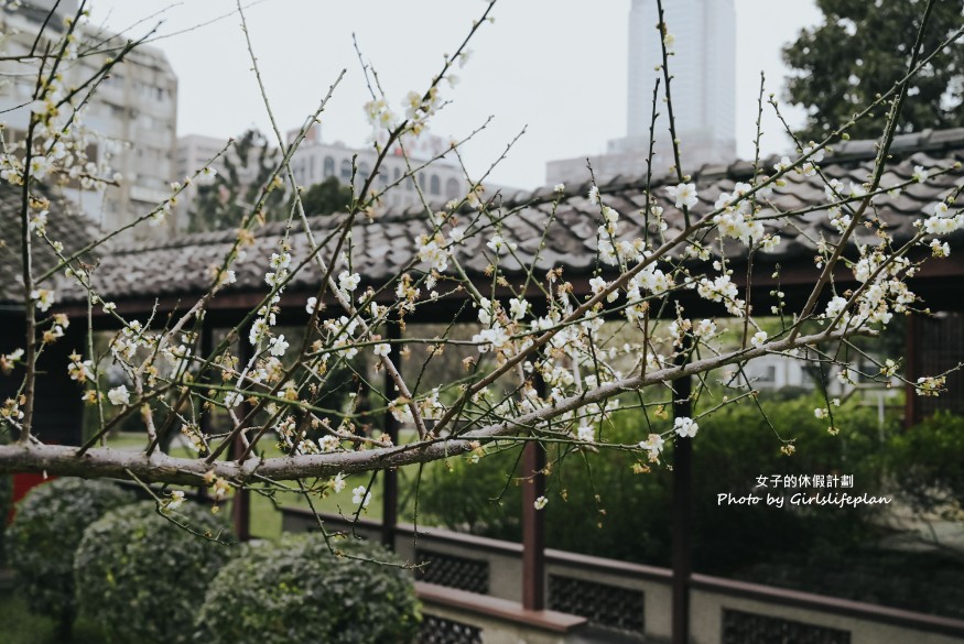 逸仙公園 | 2023年最新花況報導，台北日式景點/台北免費婚紗景點 @女子的休假計劃