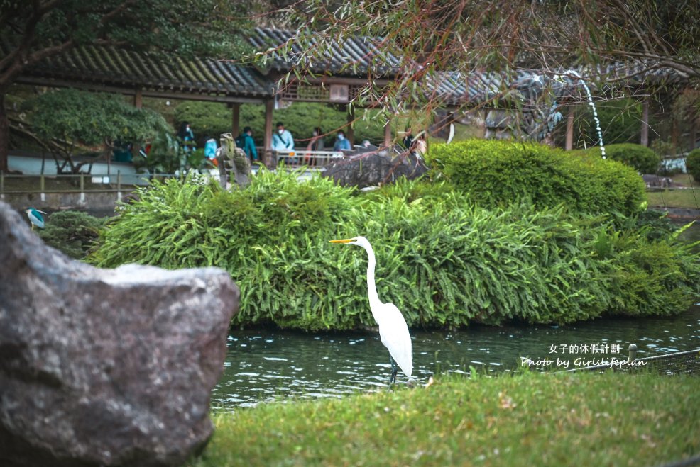 至善園｜免門票，台北賞櫻景點、台北賞梅景點(交通) @女子的休假計劃