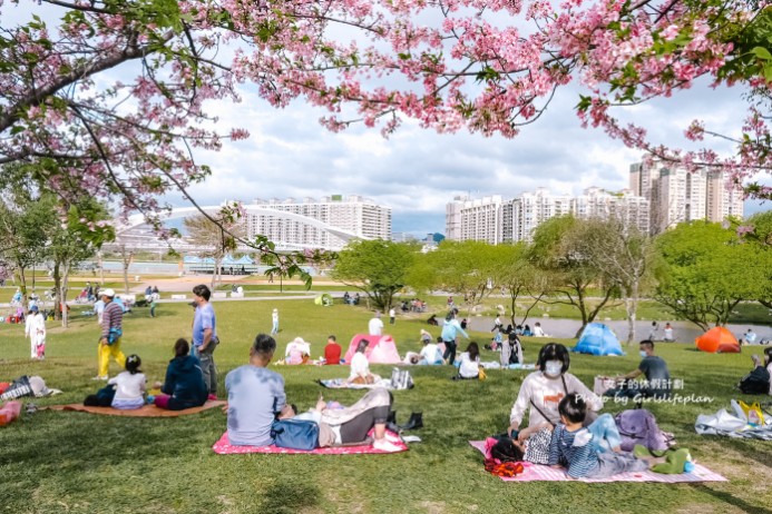 陽光運動公園櫻花｜安坑輕軌直達陽光運動公園，台北賞櫻景點推薦(交通) @女子的休假計劃