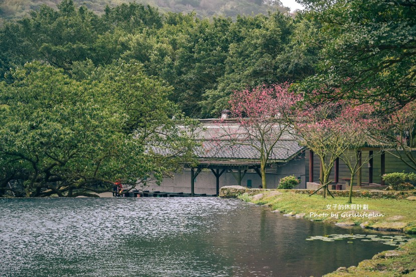 前山公園｜台北賞櫻景點/免費溫泉公共浴室(交通) @女子的休假計劃