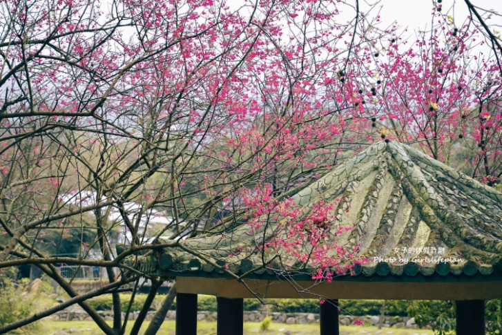 前山公園｜台北賞櫻景點/免費溫泉公共浴室(交通) @女子的休假計劃