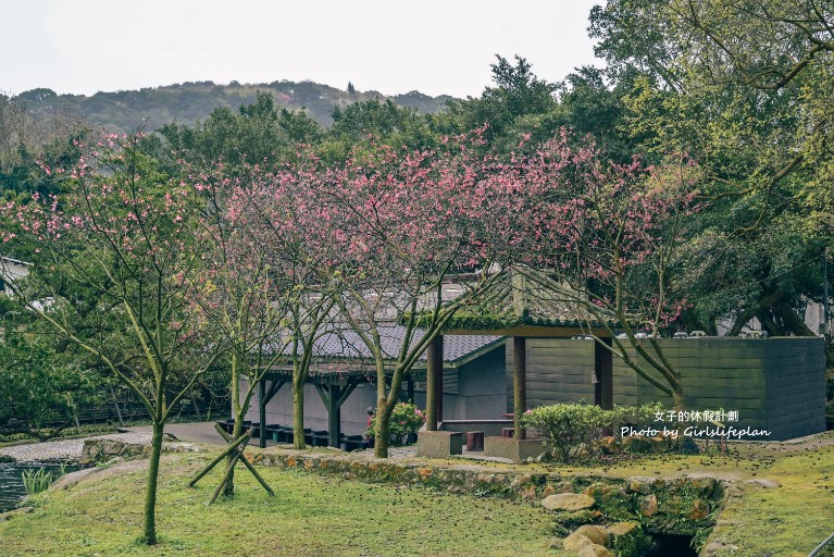 前山公園｜台北賞櫻景點/免費溫泉公共浴室(交通) @女子的休假計劃