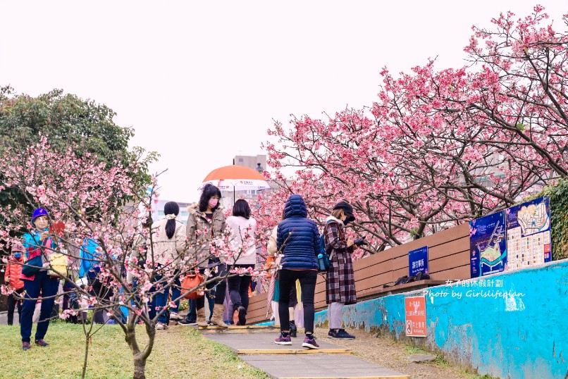 樂活公園櫻花｜樂活夜櫻季賞櫻景點，搭捷運就能到(交通) @女子的休假計劃