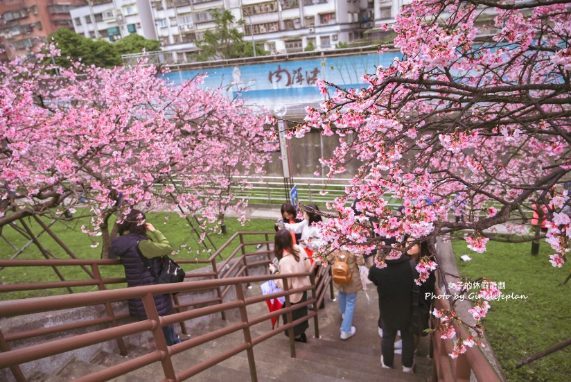 樂活公園櫻花｜樂活夜櫻季賞櫻景點，搭捷運就能到(交通) @女子的休假計劃