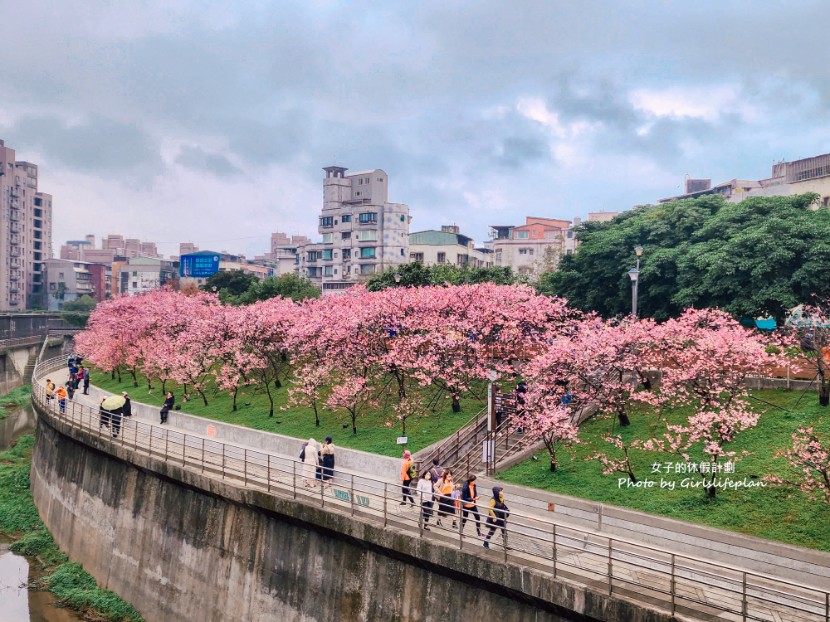 樂活公園櫻花｜樂活夜櫻季賞櫻景點，搭捷運就能到(交通) @女子的休假計劃