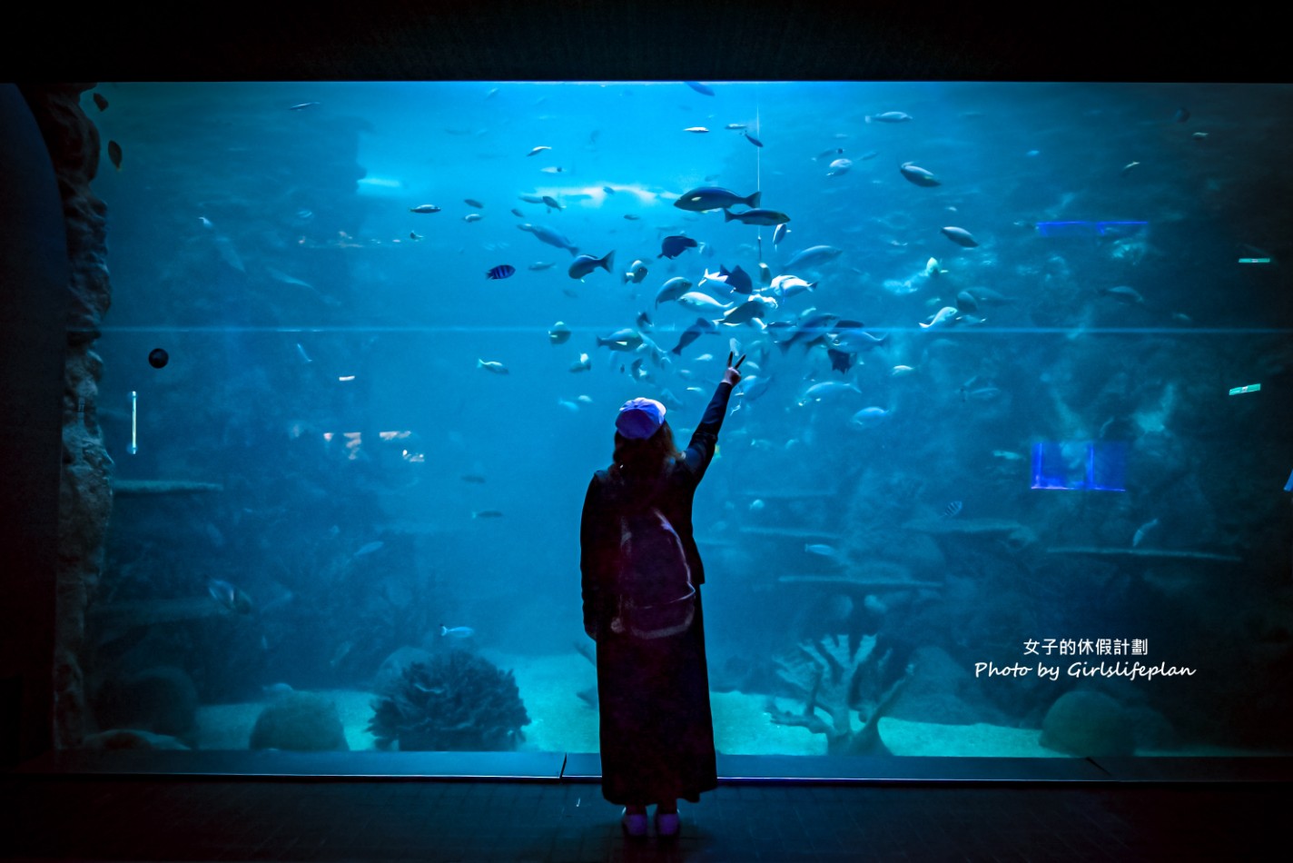 澎湖水族館｜超美海底隧道，餵食秀超精彩(交通) @女子的休假計劃