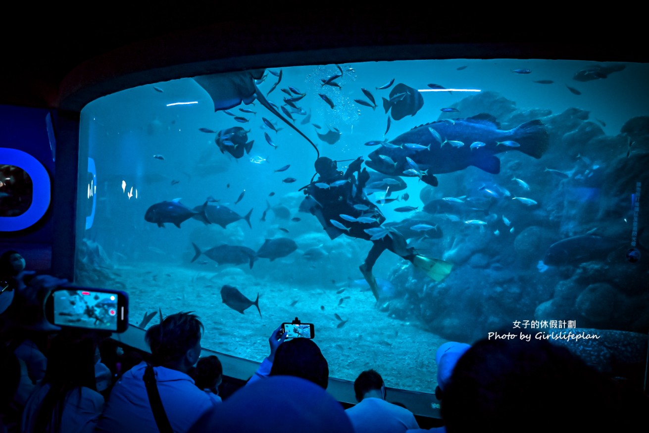 澎湖水族館｜超美海底隧道，餵食秀超精彩(交通) @女子的休假計劃