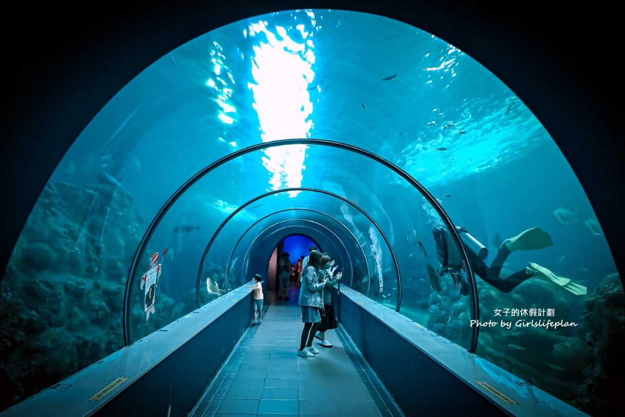 澎湖水族館｜超美海底隧道，餵食秀超精彩(交通) @女子的休假計劃