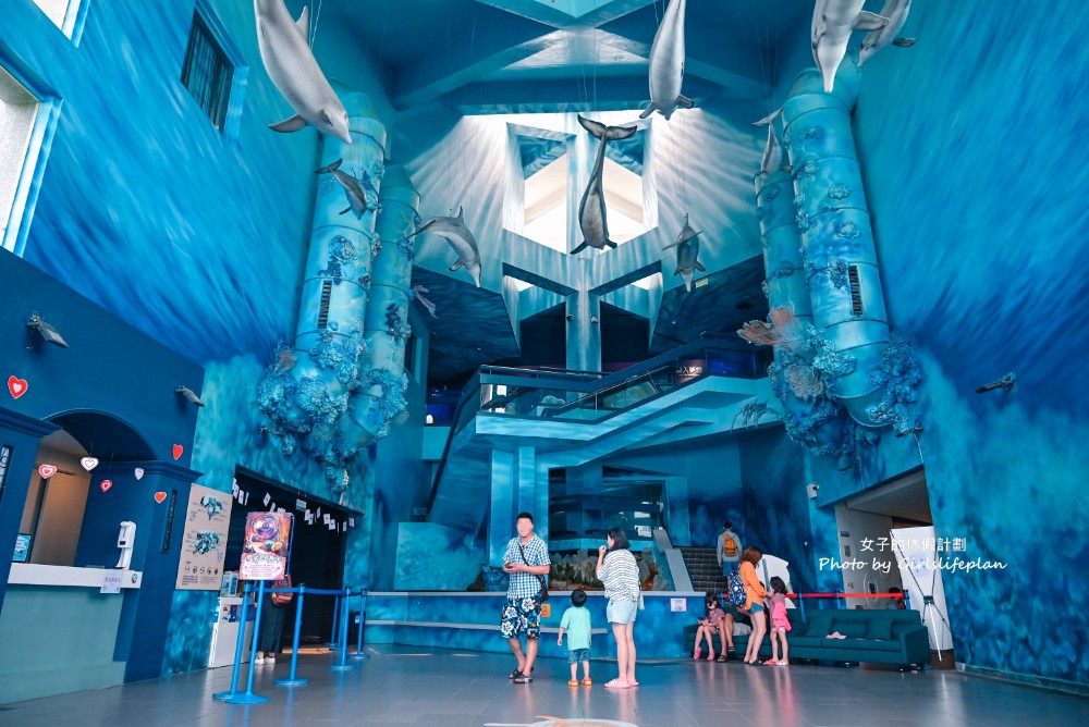 澎湖水族館｜超美海底隧道，餵食秀超精彩(交通) @女子的休假計劃