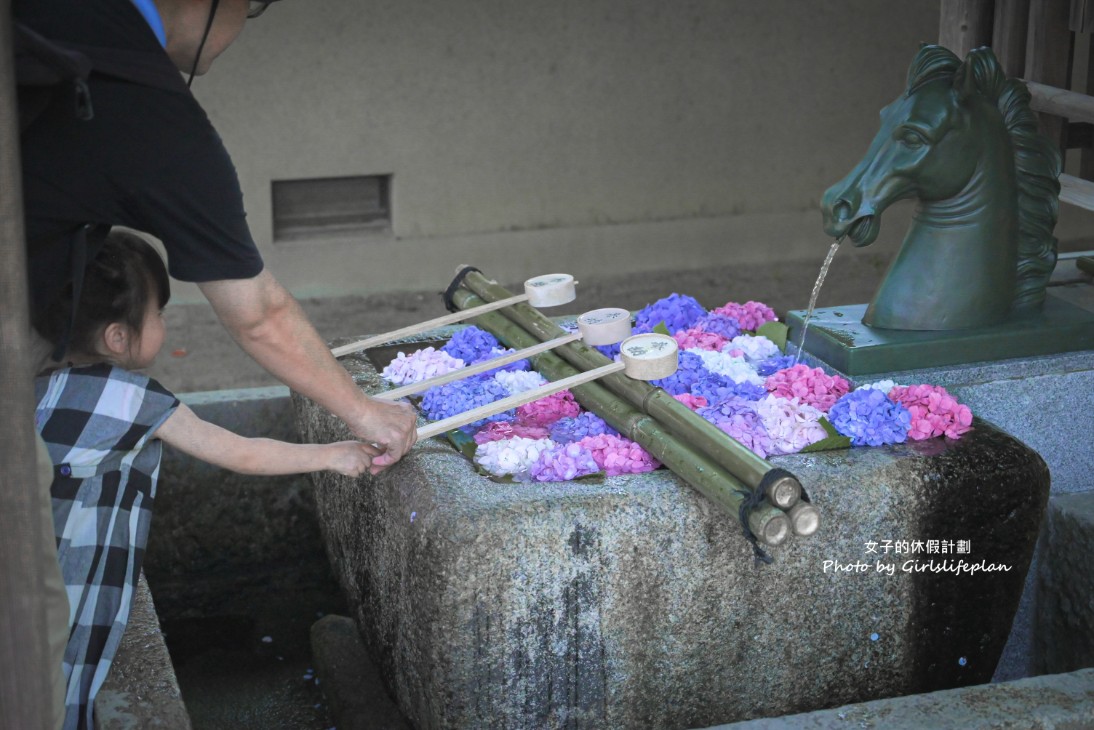 藤森神社｜京都賞繡球花景點一共3500株凝聚幸福浪漫花語 @女子的休假計劃