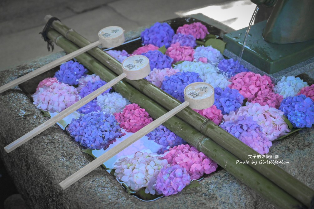 藤森神社｜京都賞繡球花景點一共3500株凝聚幸福浪漫花語 @女子的休假計劃