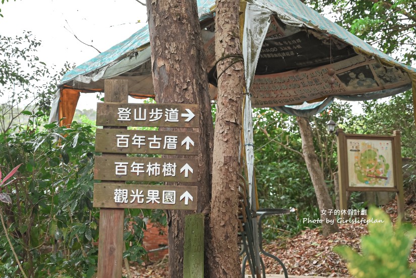 周家庄觀光農場｜隱藏版玻璃屋吃仙楂雞火鍋(交通) @女子的休假計劃