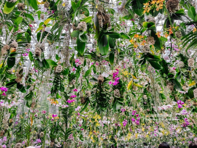 teamLab Planets TOKYO｜東京豐洲雨天備案景點推薦(攻略) @女子的休假計劃