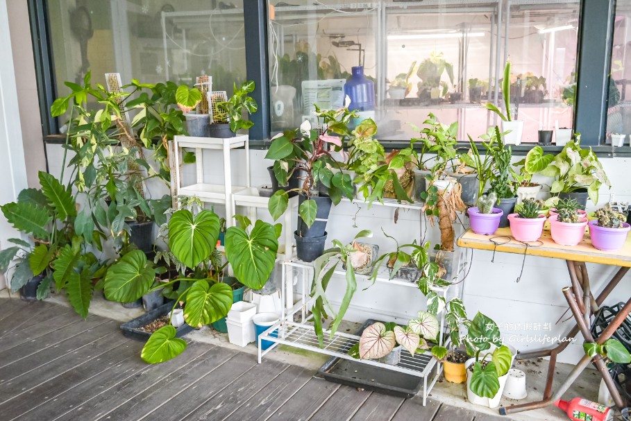 植麵所-高雄特製細麵｜牛肉麵一碗只要85元，但麵條更厲害(菜單) @女子的休假計劃