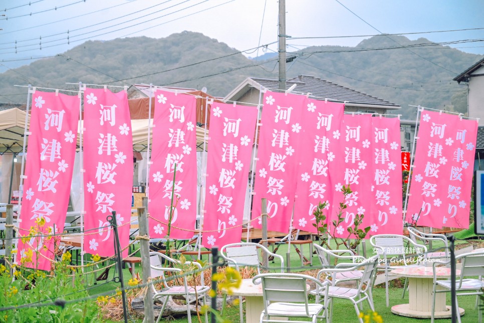 靜岡賞櫻一日遊｜伊豆河津櫻＆富士山絕景展望台＆草莓吃到飽 @女子的休假計劃
