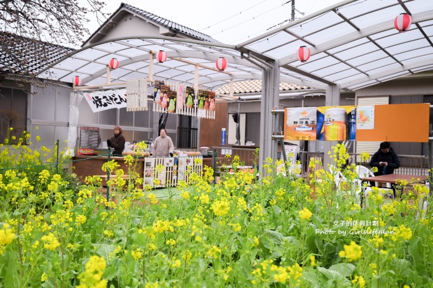 靜岡賞櫻一日遊｜伊豆河津櫻＆富士山絕景展望台＆草莓吃到飽 @女子的休假計劃
