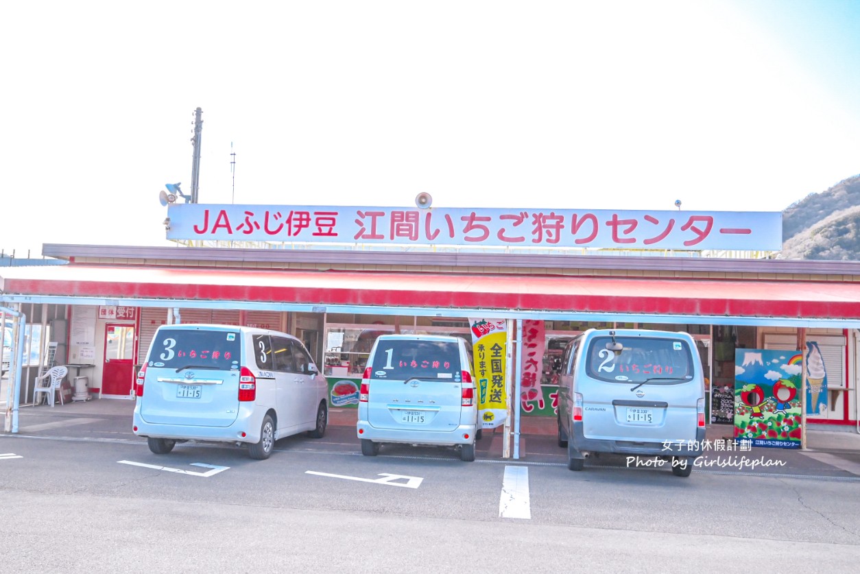 靜岡賞櫻一日遊｜伊豆河津櫻＆富士山絕景展望台＆草莓吃到飽 @女子的休假計劃