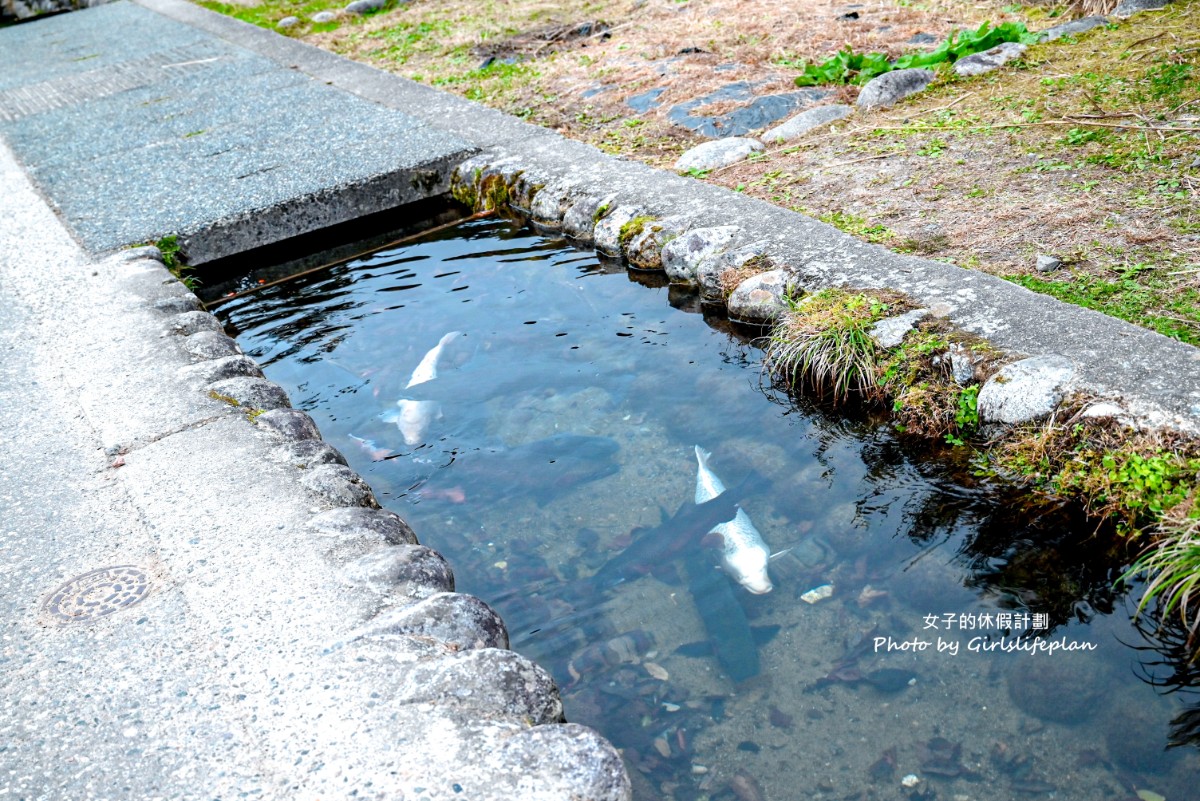 飛驒高山、白川鄉、郡上八幡：歷史與傳統之旅古都巡禮 @女子的休假計劃