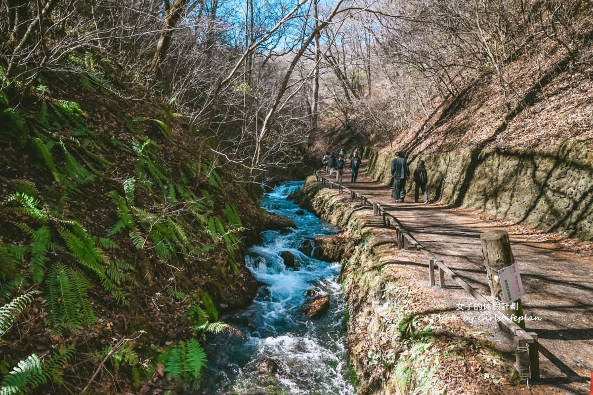 輕井澤一日遊｜ 白系瀑布・雲場池・ 舊輕井澤銀座街道・輕井澤OUTLET(1人成團) @女子的休假計劃
