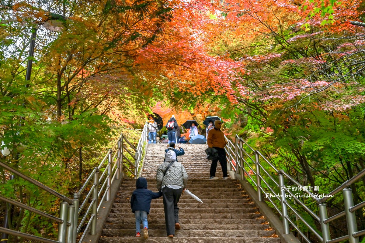 富士山雙湖溫泉一日遊，kkday一日遊懶人包 @女子的休假計劃