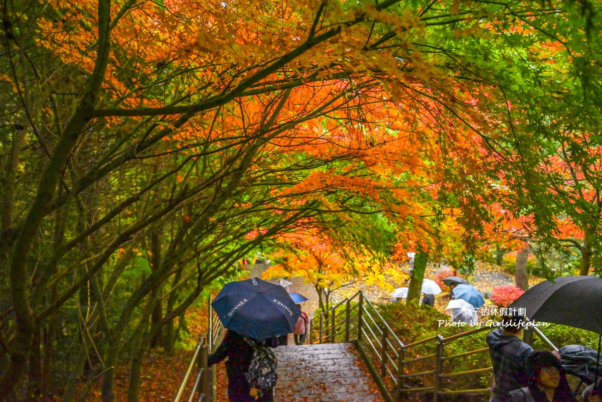 富士山雙湖溫泉一日遊，kkday一日遊懶人包 @女子的休假計劃