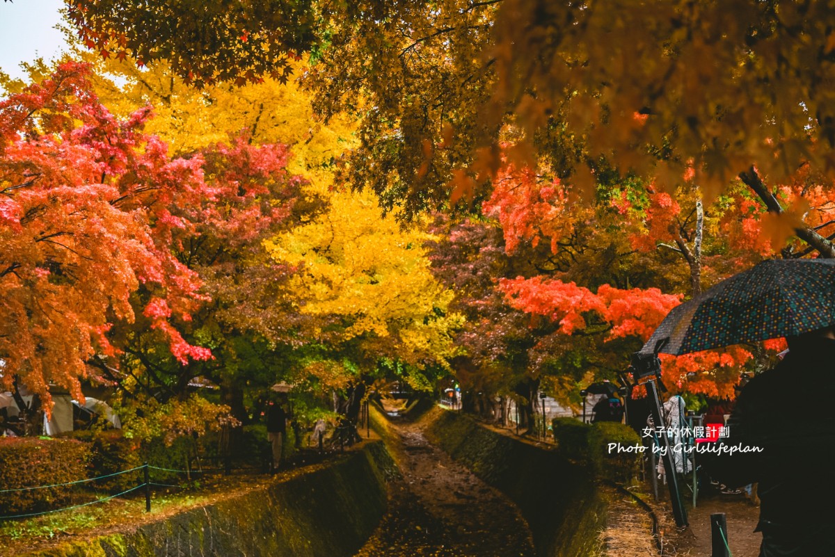 富士山雙湖溫泉一日遊，kkday一日遊懶人包 @女子的休假計劃