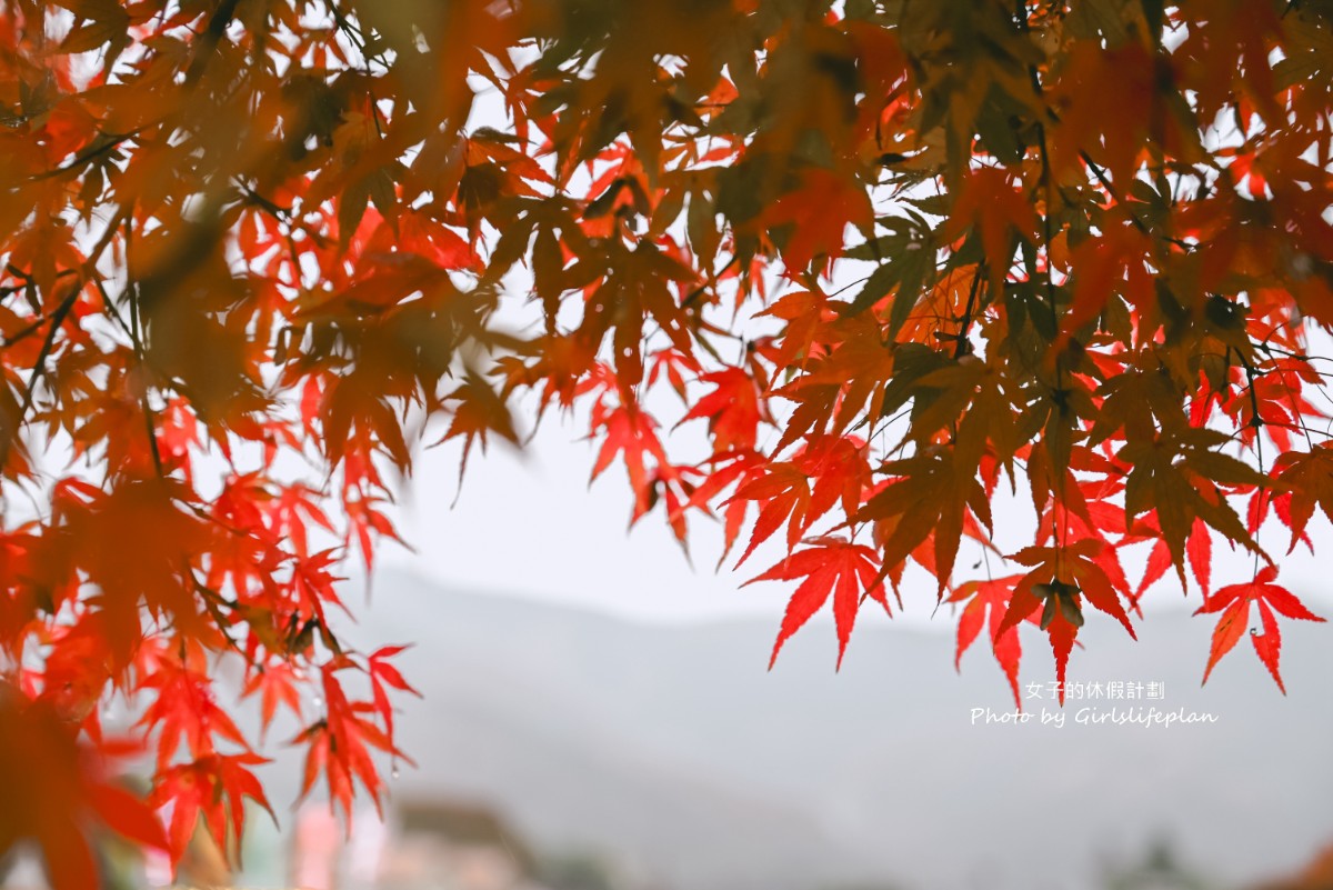 富士山雙湖溫泉一日遊，kkday一日遊懶人包 @女子的休假計劃