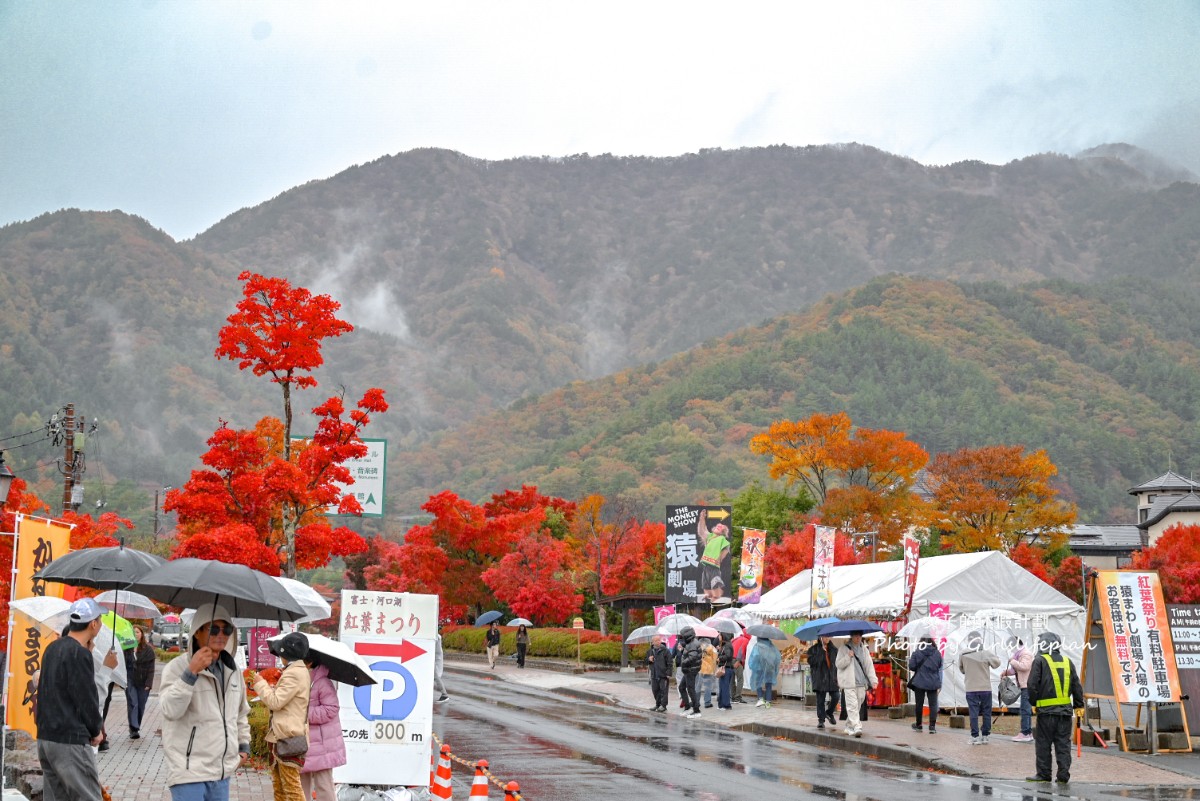 富士山雙湖溫泉一日遊，kkday一日遊懶人包 @女子的休假計劃
