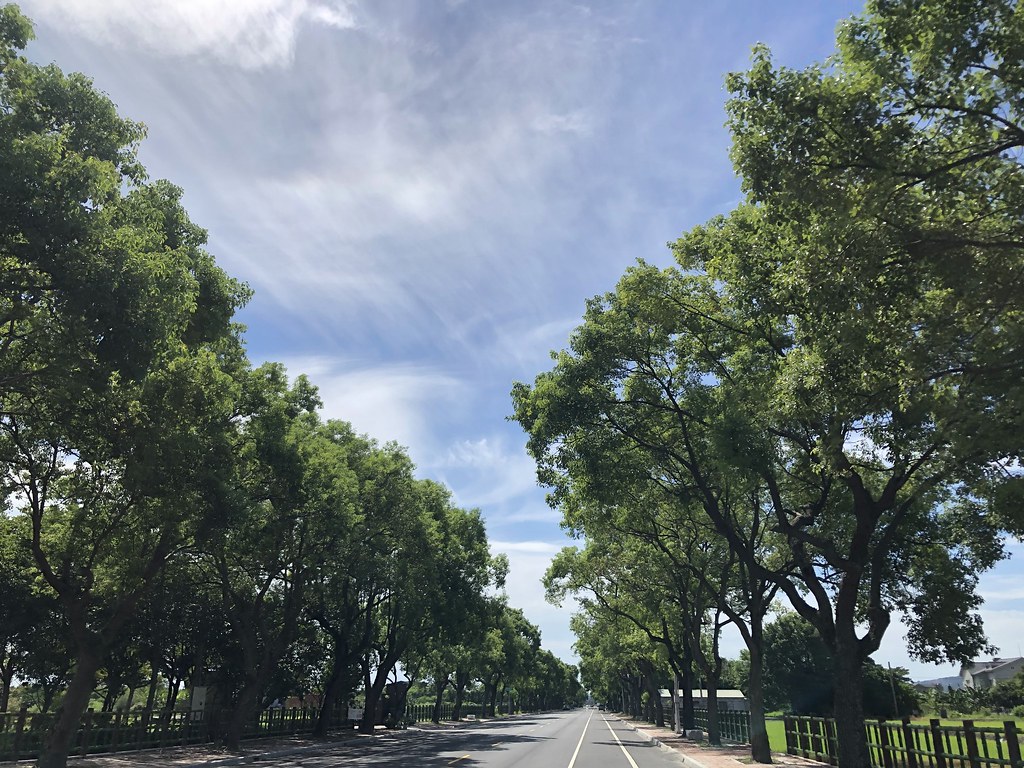 【花蓮民宿】潭心閣：青山綠水白雲渺渺鯉魚潭旁自然風情景觀民宿。 @女子的休假計劃