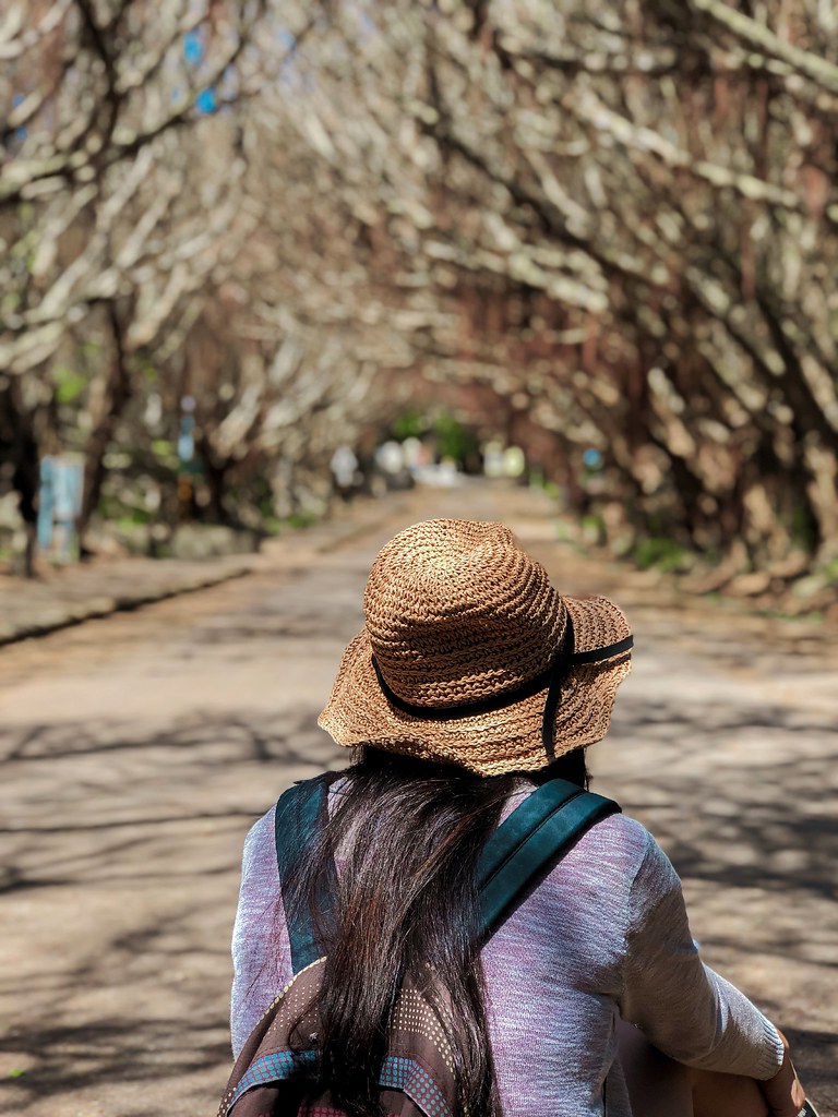 【馬祖旅遊景點】莒光鄉東莒、西莒2天1夜跳島環島懶人包 @女子的休假計劃