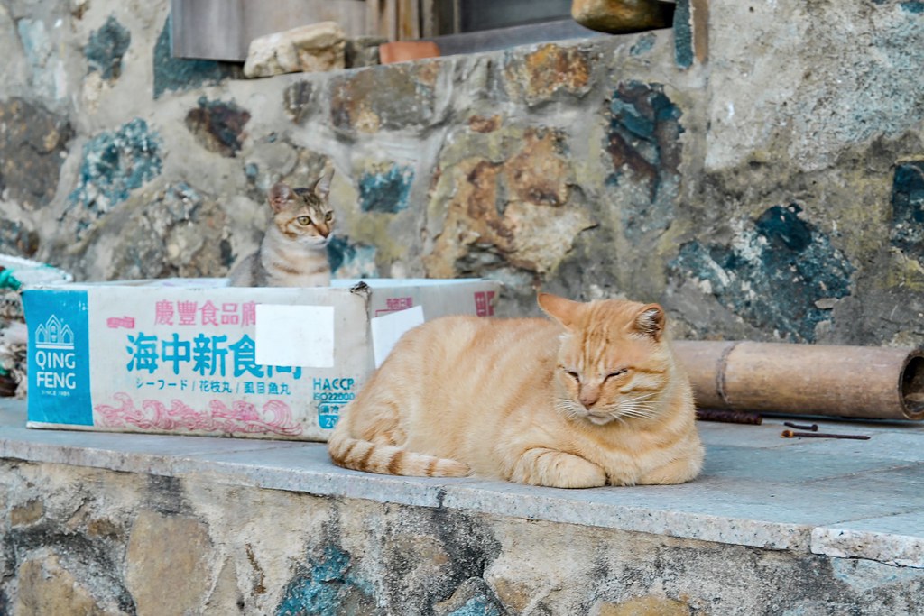 【馬祖旅遊景點】莒光鄉東莒、西莒2天1夜跳島環島懶人包 @女子的休假計劃