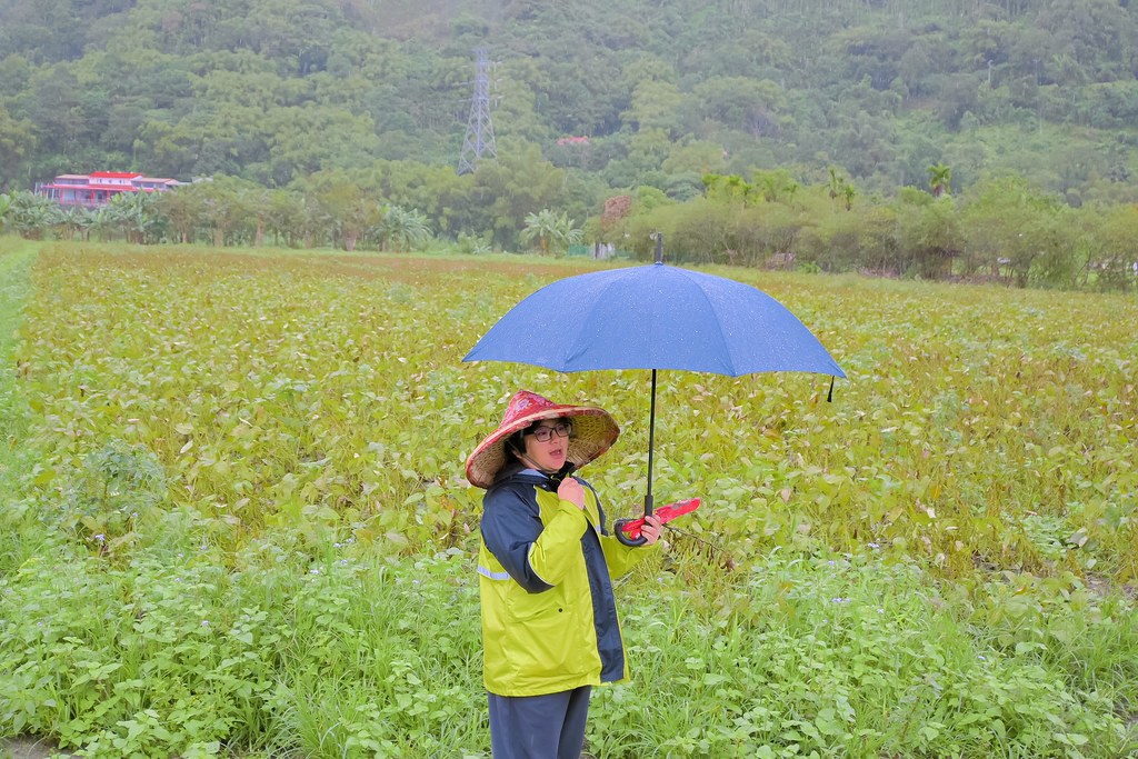 【2020國產雜糧十大經典體驗路線】花蓮瑪布隆農場：在地特色黑豆茶DIY、農事體驗 /光豐地區農會 @女子的休假計劃