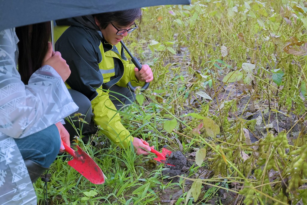 【2020國產雜糧十大經典體驗路線】花蓮瑪布隆農場：在地特色黑豆茶DIY、農事體驗 /光豐地區農會 @女子的休假計劃