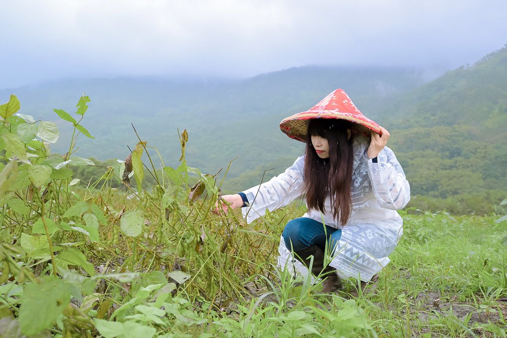 【2020國產雜糧十大經典體驗路線】花蓮瑪布隆農場：在地特色黑豆茶DIY、農事體驗 /光豐地區農會 @女子的休假計劃