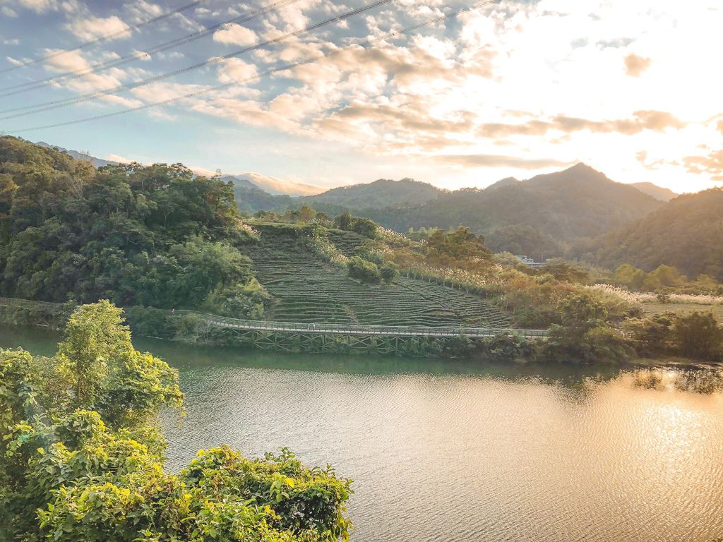 坪林老街滴滴香茶行：百年老屋裡滿是濃濃的人情味，必吃隱藏版茶油麵線、鐵觀音冰淇淋。 @女子的休假計劃