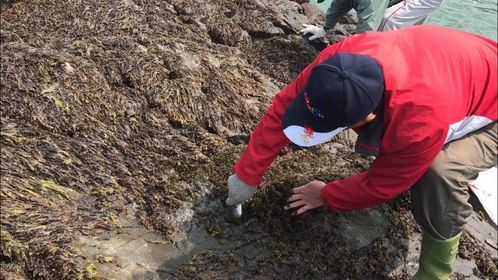 【馬祖旅遊景點】莒光鄉東莒、西莒2天1夜跳島環島懶人包 @女子的休假計劃