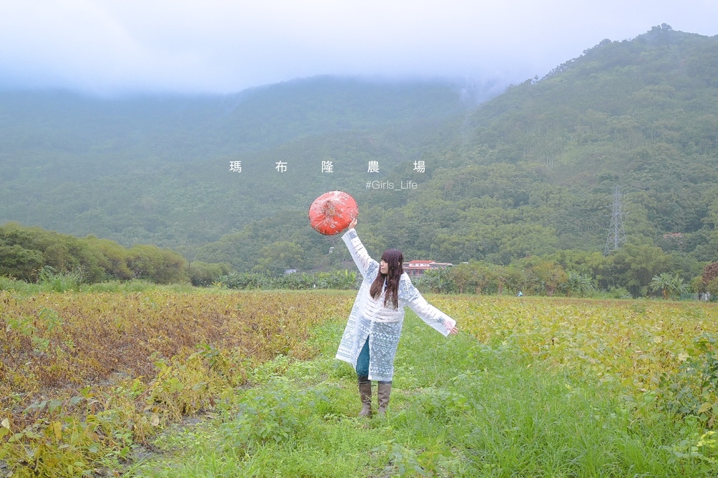 【2020國產雜糧十大經典體驗路線】花蓮瑪布隆農場：在地特色黑豆茶DIY、農事體驗 /光豐地區農會 @女子的休假計劃