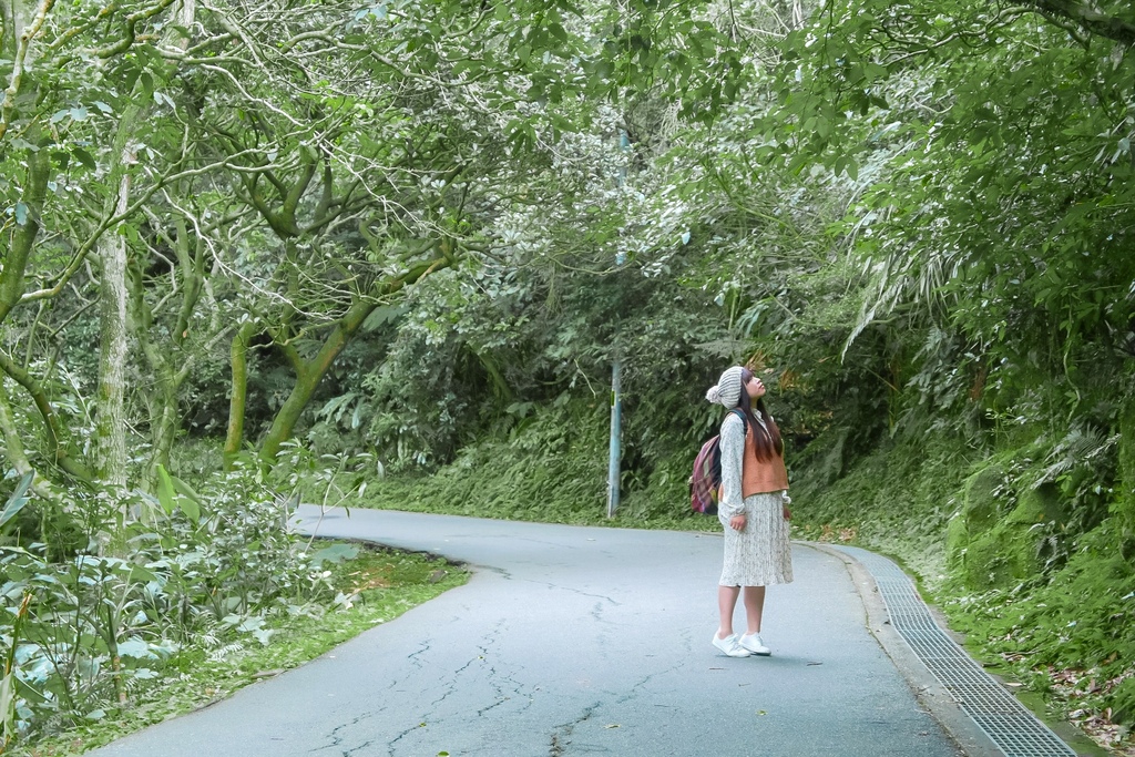 台北陽明山2024賞櫻景點兩天一夜懶人包，免費泡溫泉賞櫻花(台北景點推薦) @女子的休假計劃