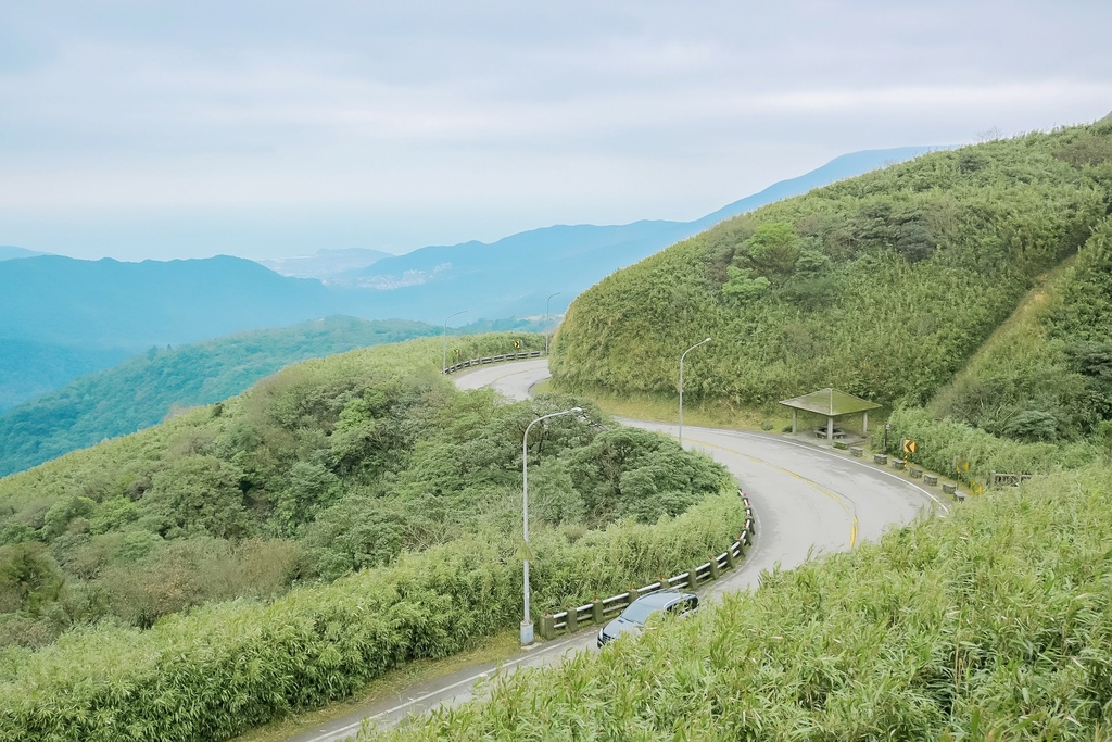 台北陽明山2024賞櫻景點兩天一夜懶人包，免費泡溫泉賞櫻花(台北景點推薦) @女子的休假計劃